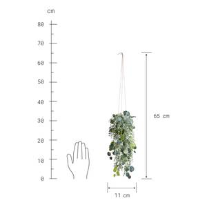 Kunsthängepflanze FLORISTA Eukalyptus Magnesia - Grün