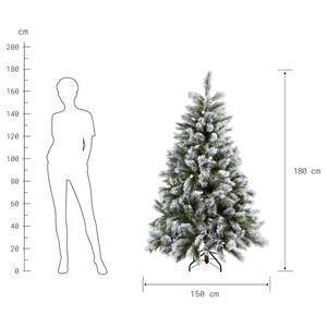 Sapin de Noël TREE OF THE MONTH Hauteur : 180 cm