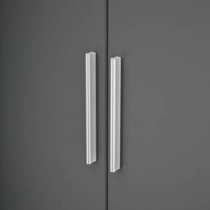Armoire à portes battantes KiYDOO V Gris métallisé - 226 x 197 cm