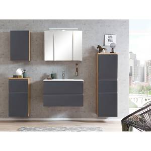 Armoire suspendue Roccolo Gris mat - Largeur : 40 cm