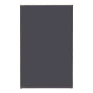 Armoire suspendue Roccolo Gris mat - Largeur : 40 cm