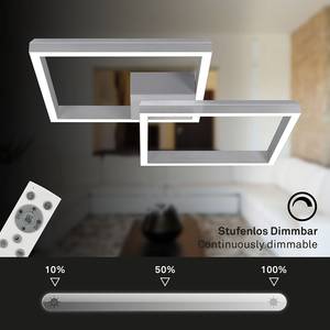 LED-Deckenleuchte Frame Back IV Nylon / Eisen - 2-flammig