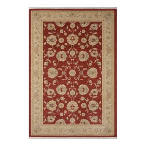 Tapis Maryam III Polypropylène / Coton - Bordeaux - 160 x 230 cm