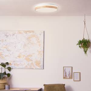 LED-plafondlamp Brodsky kunststof / ijzer - 1 lichtbron