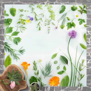 Vinyl vloerkleed Kruiden en bloemen Vinyl/polyester - 140 x 140 cm