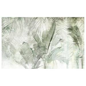 Fotomurale Botanical Boho Tessuto non tessuto - Verde / Bianco - 400 x 250 cm