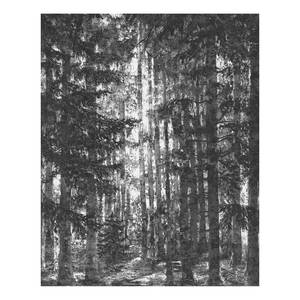 Papier peint intissé Lustres Lapland Intissé - Blanc - 200 x 250 cm