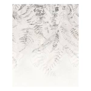 Papier peint intissé Illuminating Ivy Intissé - Noir / Blanc - 200 x 250 m