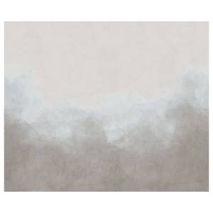 Fotomurale Foggy Filament Tessuto non tessuto - Grigio / Blu - 300 x 250 cm