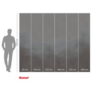 Fotomurale Foggy Filament Tessuto non tessuto - Grigio / Blu - 300 x 250 cm