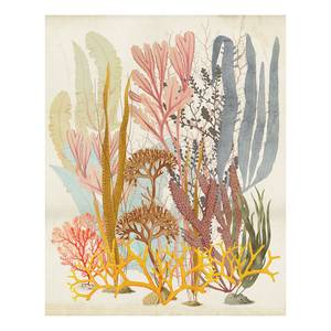 Papier peint intissé Catchy Corals Intissé - Multicolore - 200 x 250 m