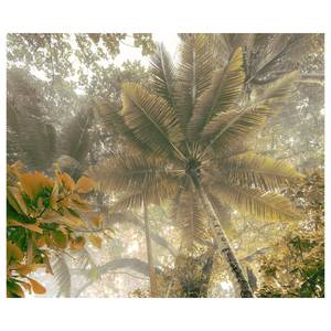 Vlies-fotobehang Palms Panorama vlies - bruin/wit - 300 x 250 cm