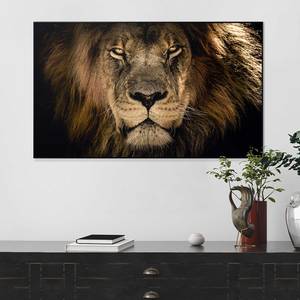 Wandbild Löwe kaufen | home24