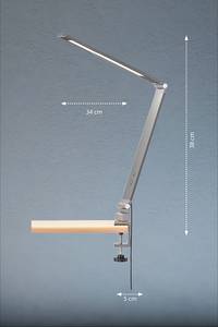 Lampe à pince Geri Fer - 1 ampoule - Anthracite