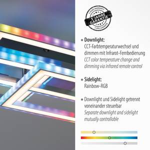 LED-Deckenleuchte Felix60 Typ C Polycarbonat / Aluminium - 2-flammig