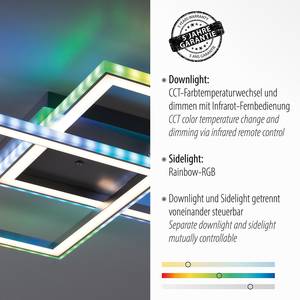 LED-Deckenleuchte Felix60 Typ A Polycarbonat / Aluminium - 2-flammig