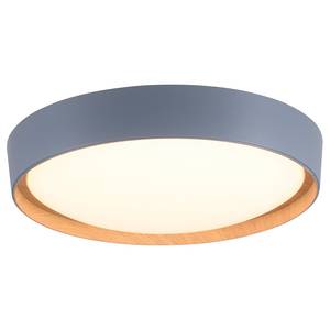 LED-plafondlamp Emilia polycarbonaat - 1 lichtbron - Grijs