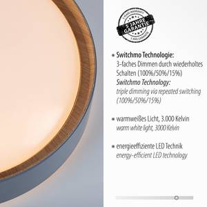 LED-plafondlamp Emilia polycarbonaat - 1 lichtbron - Grijs