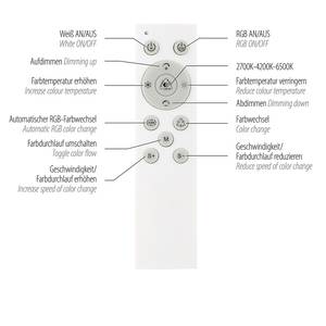 LED-Deckenleuchte Spheric Typ B ABS / Metall - 2-flammig