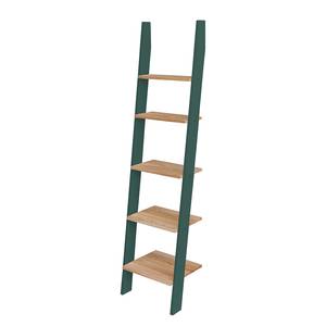 Ladderkast Ashme type B massief essenhout/MDF - donkergroen - Donkergroen