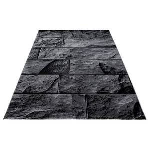 Kurzflorteppich Amarante Polypropylen - Schwarz - 120 x 170 cm - 120 x 170 cm