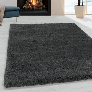 Tapis épais Frankenthal Polypropylène - Gris - 80 x 150 cm - Gris - 80 x 150 cm