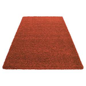 Tapis épais Weselberg Polypropylène - Terracotta - 120 x 170 cm - Terre cuite - 120 x 170 cm