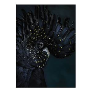 Fototapete Exotic Bird 280 x 200 cm