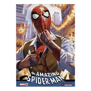 Leinwandbild Spiderman 50 x 70 cm