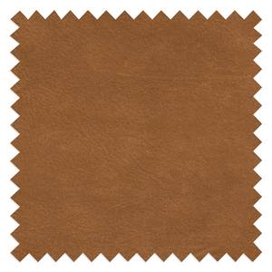 Sessel Esquire Echtleder Fortesa: Cognac