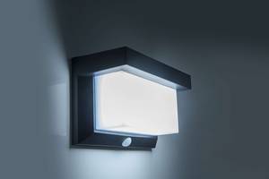 Lampe solaire LED détecteur de mouvement Acier / Matière plastique - Noir