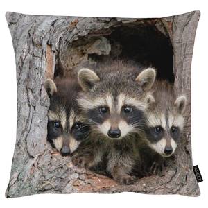 Coussin 5885 Coton / Polyester - Marron - 45 x 45 cm