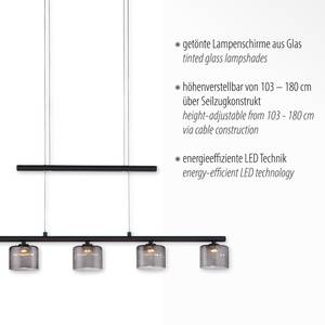 Hanglamp Hydra rookglas/ijzer - 5 lichtbron - Zwart