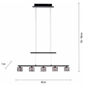 Hanglamp Hydra rookglas/ijzer - 5 lichtbron - Zwart