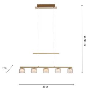 Hanglamp Hydra gekleurd glas/ijzer - 5 lichtbronnen - Messing