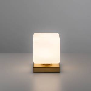 Lampe Dadoa Verre dépoli / Fer - 1 ampoule - Laiton