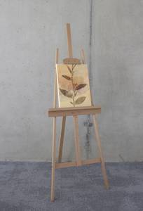 Leinwandbild Pressed Leaves Vlies - Mehrfarbig - 30 x 40 cm
