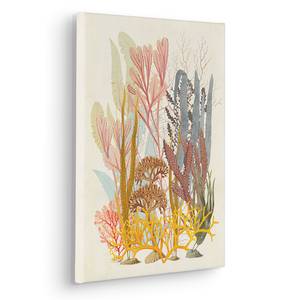 Quadro Coral Acqua Tessuto non tessuto - Multicolore - 30 x 40 cm