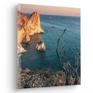 Impression sur toile Steep Cove Intissé - Multicolore - 30 x 30 cm