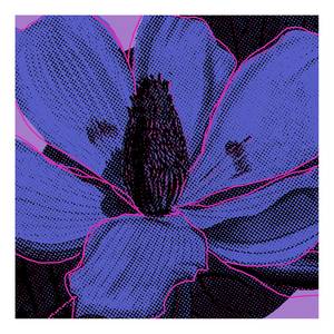 Quadro Purple Fusion Tessuto non tessuto - Multicolore - 60 x 60 cm