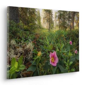 Quadro Charming Woods Tessuto non tessuto - Multicolore - 60 x 40 cm