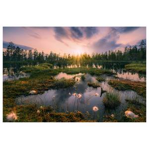 Impression sur toile Gloomy Swamps Intissé - Multicolore - 60 x 40 m