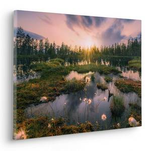 Quadro Gloomy Swamps Tessuto non tessuto - Multicolore - 60 x 40 cm