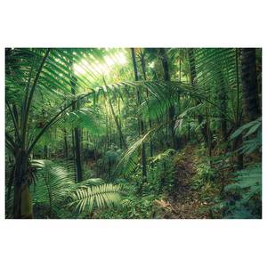Quadro Jungleflair Tessuto non tessuto - Multicolore - 90 x 60 cm
