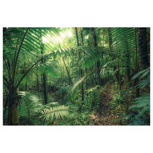 Leinwandbild Jungleflair Vlies - Mehrfarbig - 90 x 60 cm