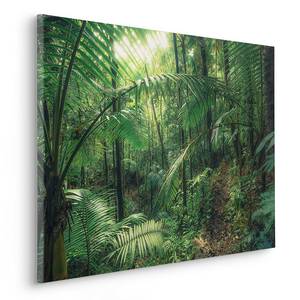 Quadro Jungleflair Tessuto non tessuto - Multicolore - 90 x 60 cm