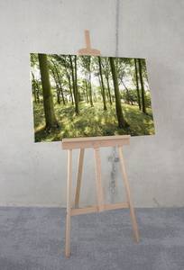 Impression sur toile Dänische Buchen Intissé - Multicolore - 90 x 60 m