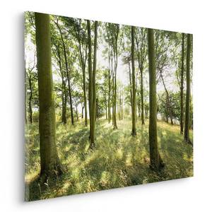 Afbeelding Deense Beuken vlies - meerdere kleuren - 90 x 60 cm