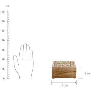 Kiste TREASURE Teilmassivholz Mango - Braun - Breite: 14 cm