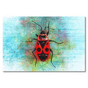 Quadro Firebug Abete massello / Tessuto misto - 80 x 120 cm